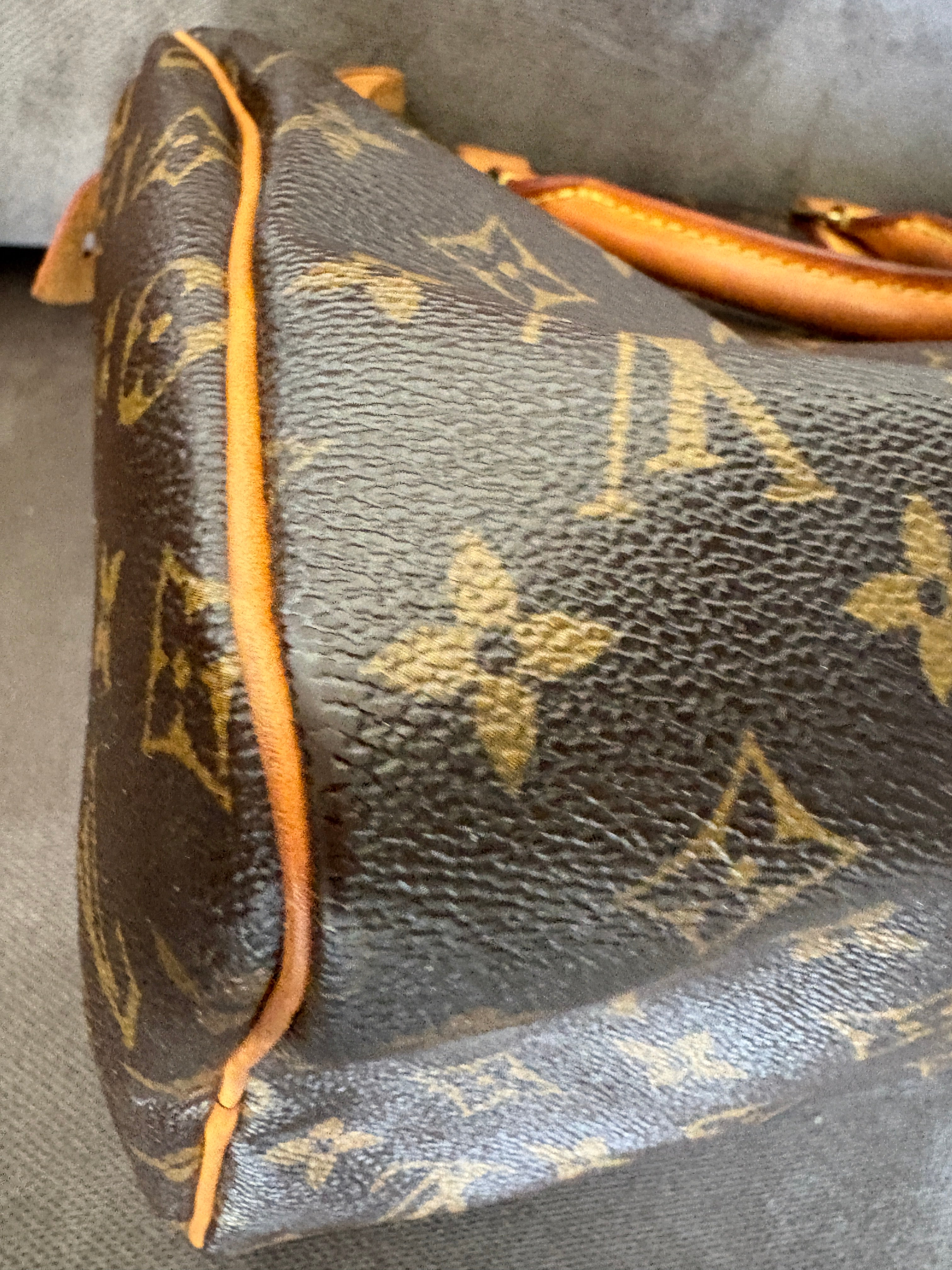 Louis Vuitton Speedy 30