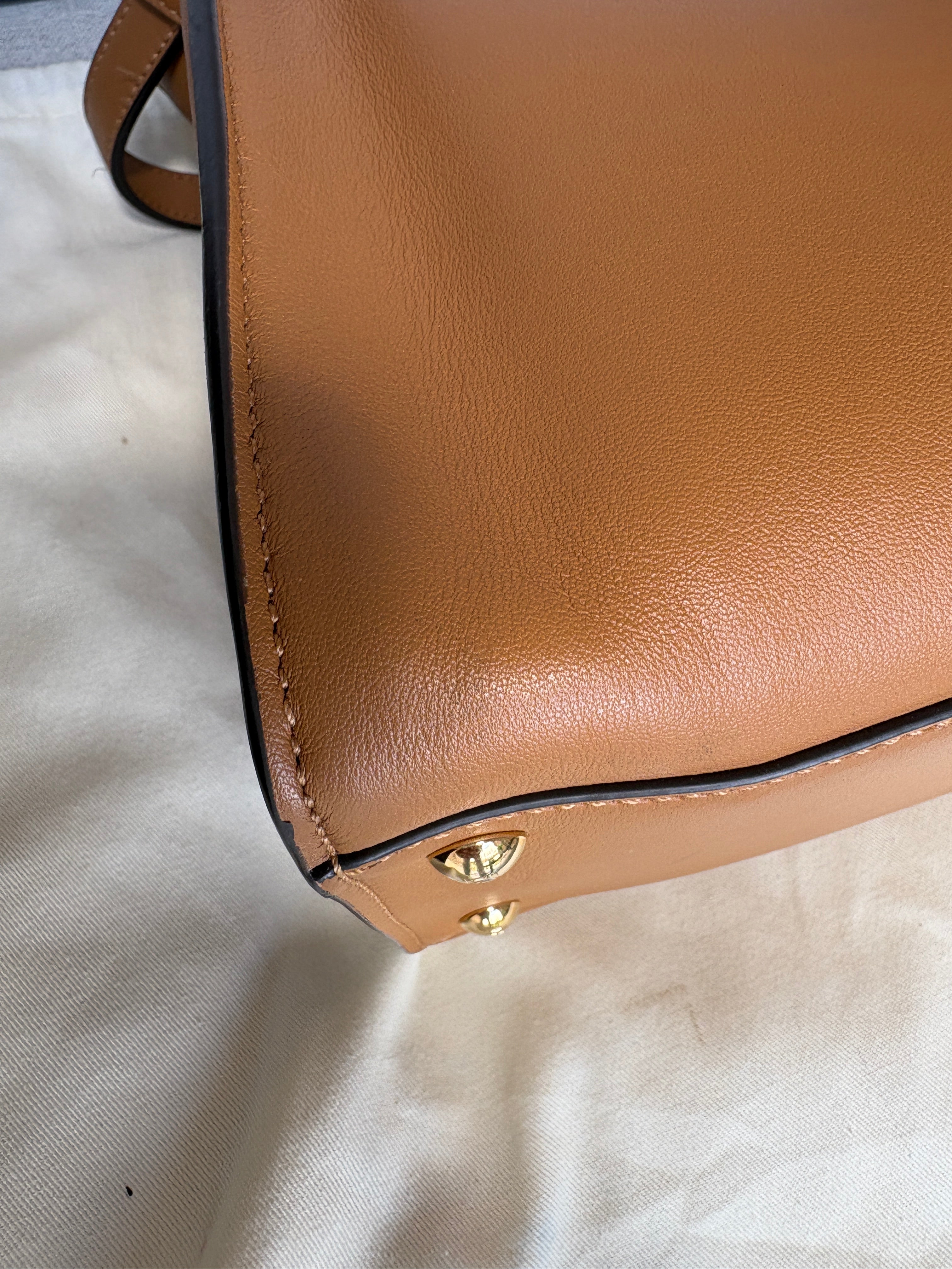 Fendi peekaboo x light