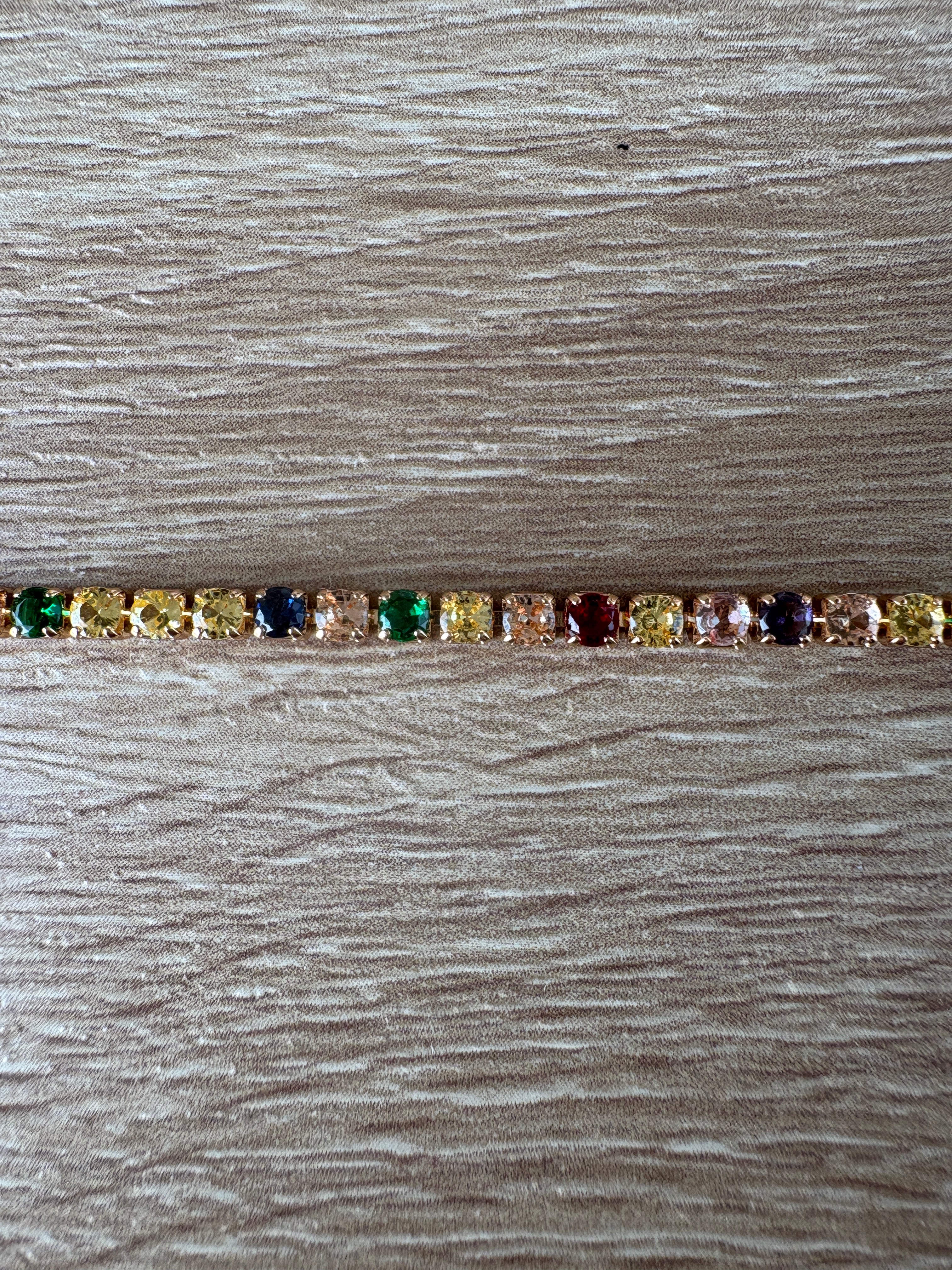 Braccaile tennis multicolor