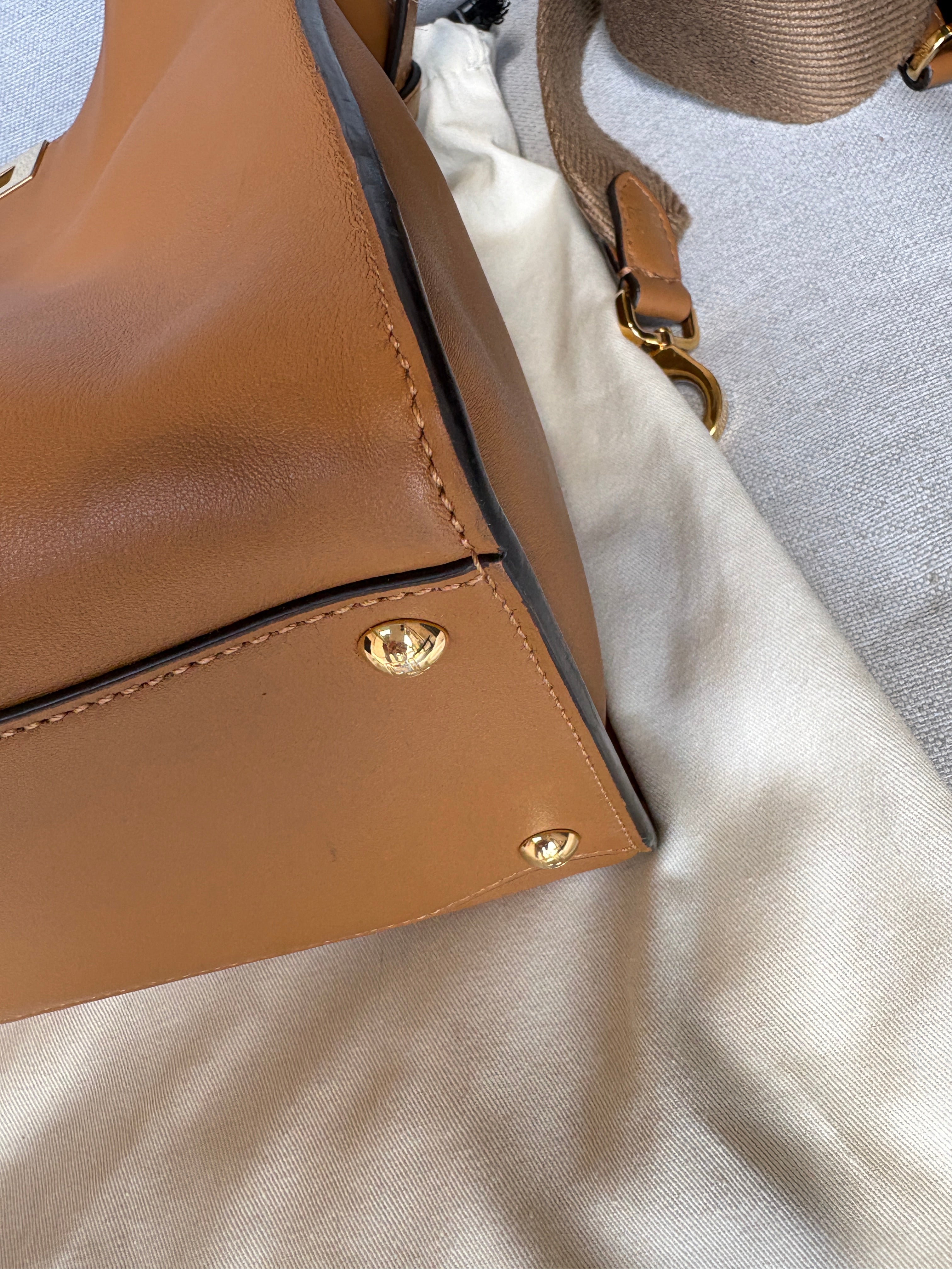 Fendi peekaboo x light