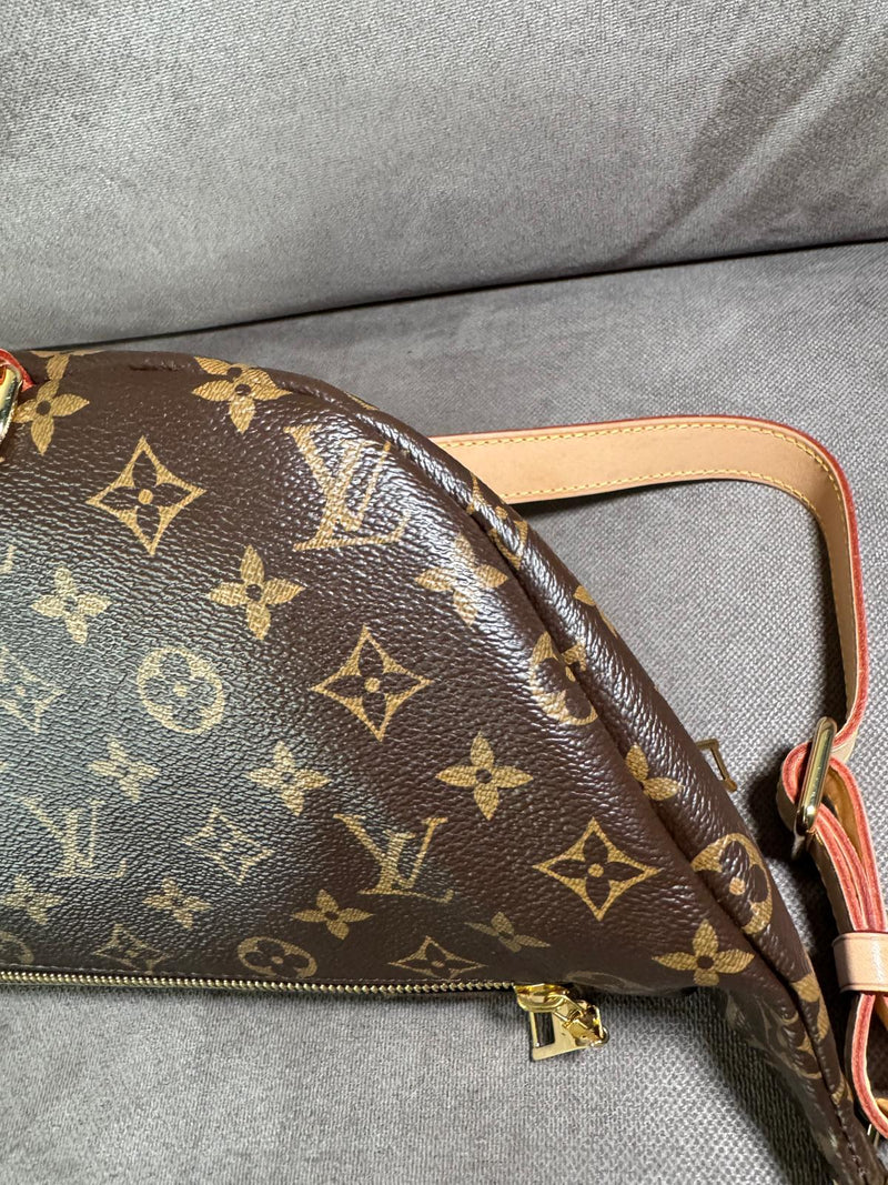 Louis Vuitton Bumbag