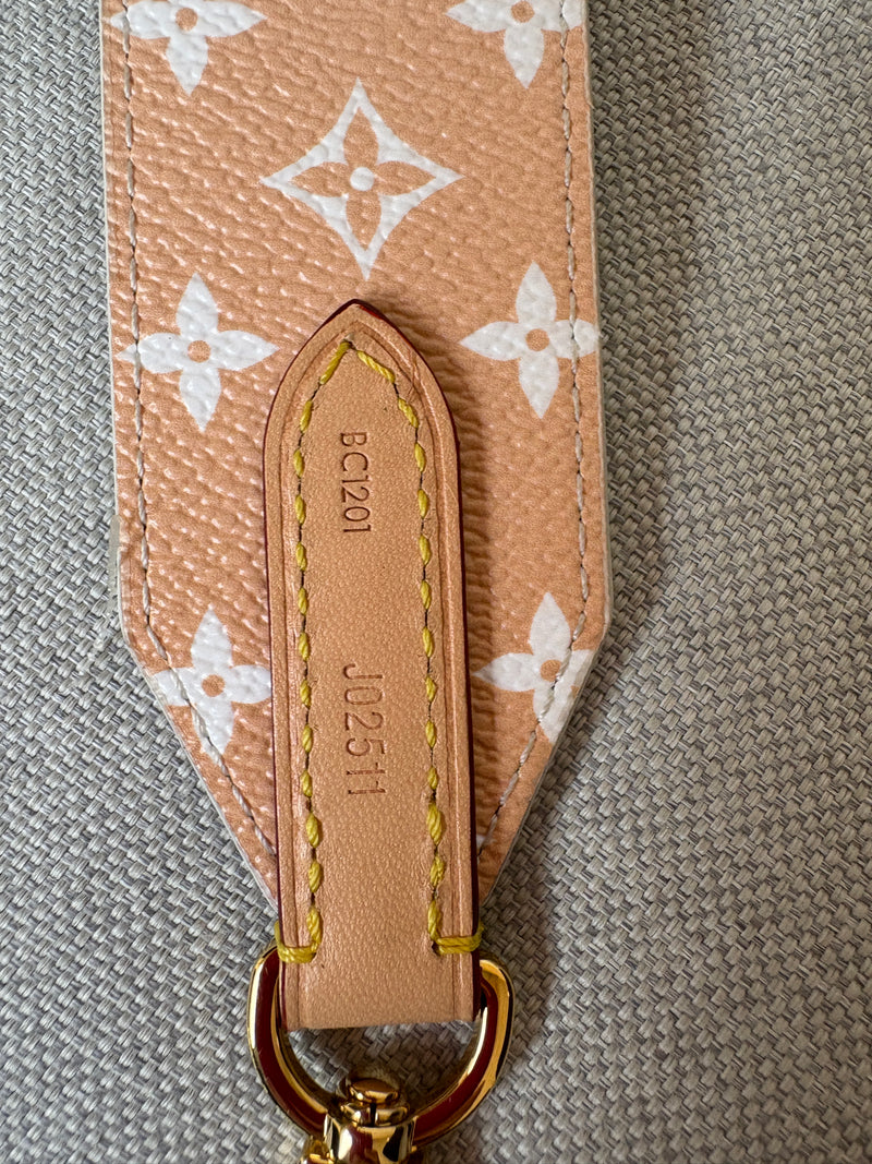 Louis Vuitton bandouliere