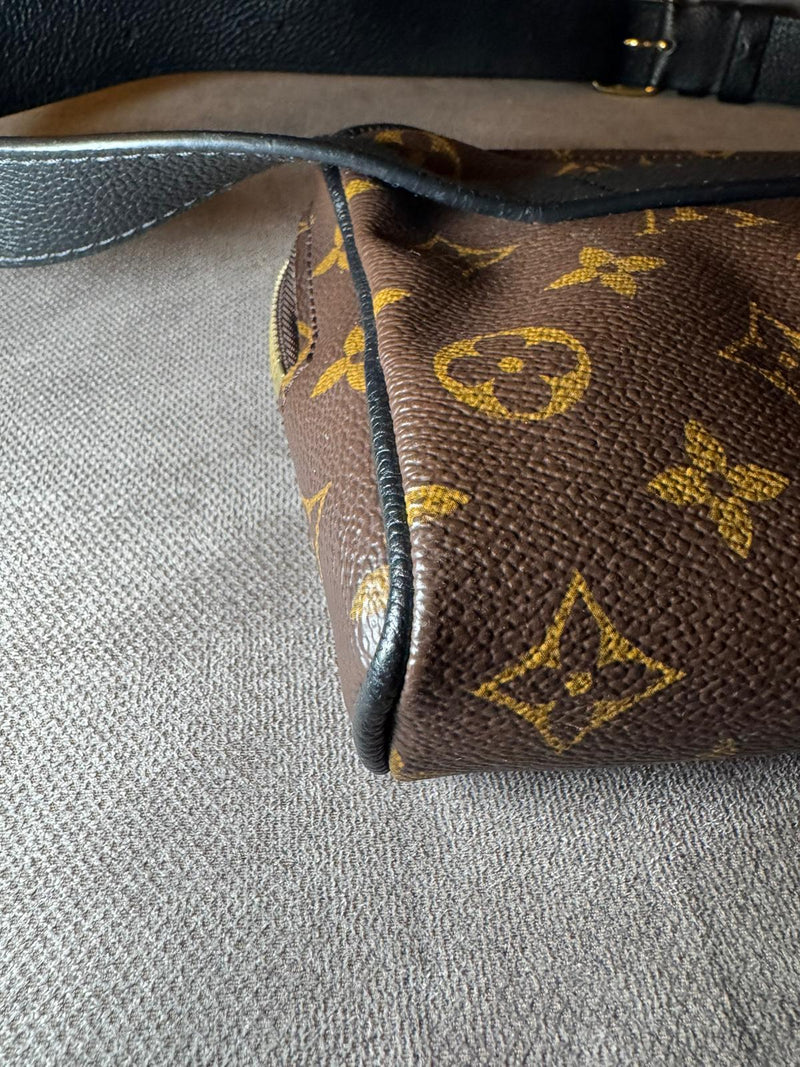 Louis Vuitton marsupio