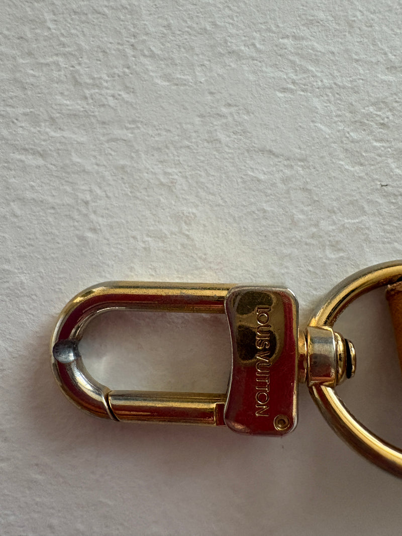 Louis Vuitton tracolla