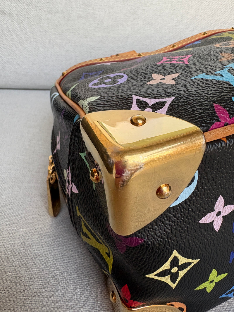 Louis Vuitton trouville multicolor