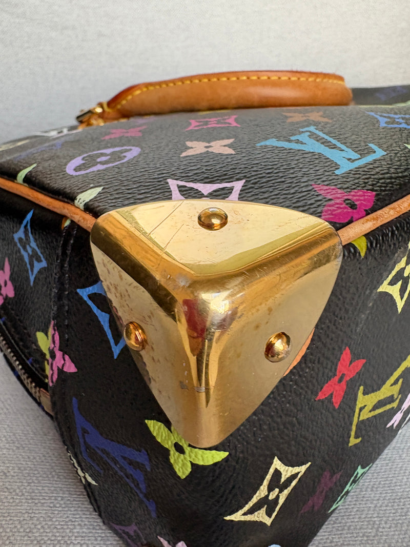 Louis Vuitton trouville multicolor