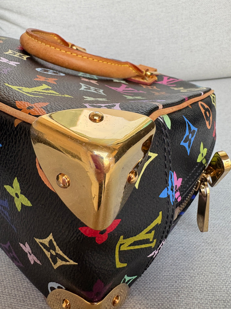 Louis Vuitton trouville multicolor