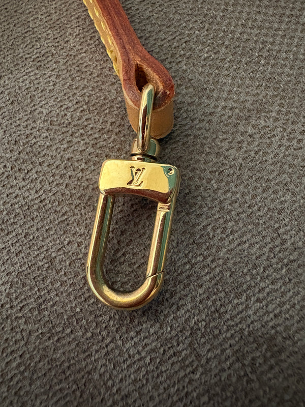 Louis Vuitton tracolla