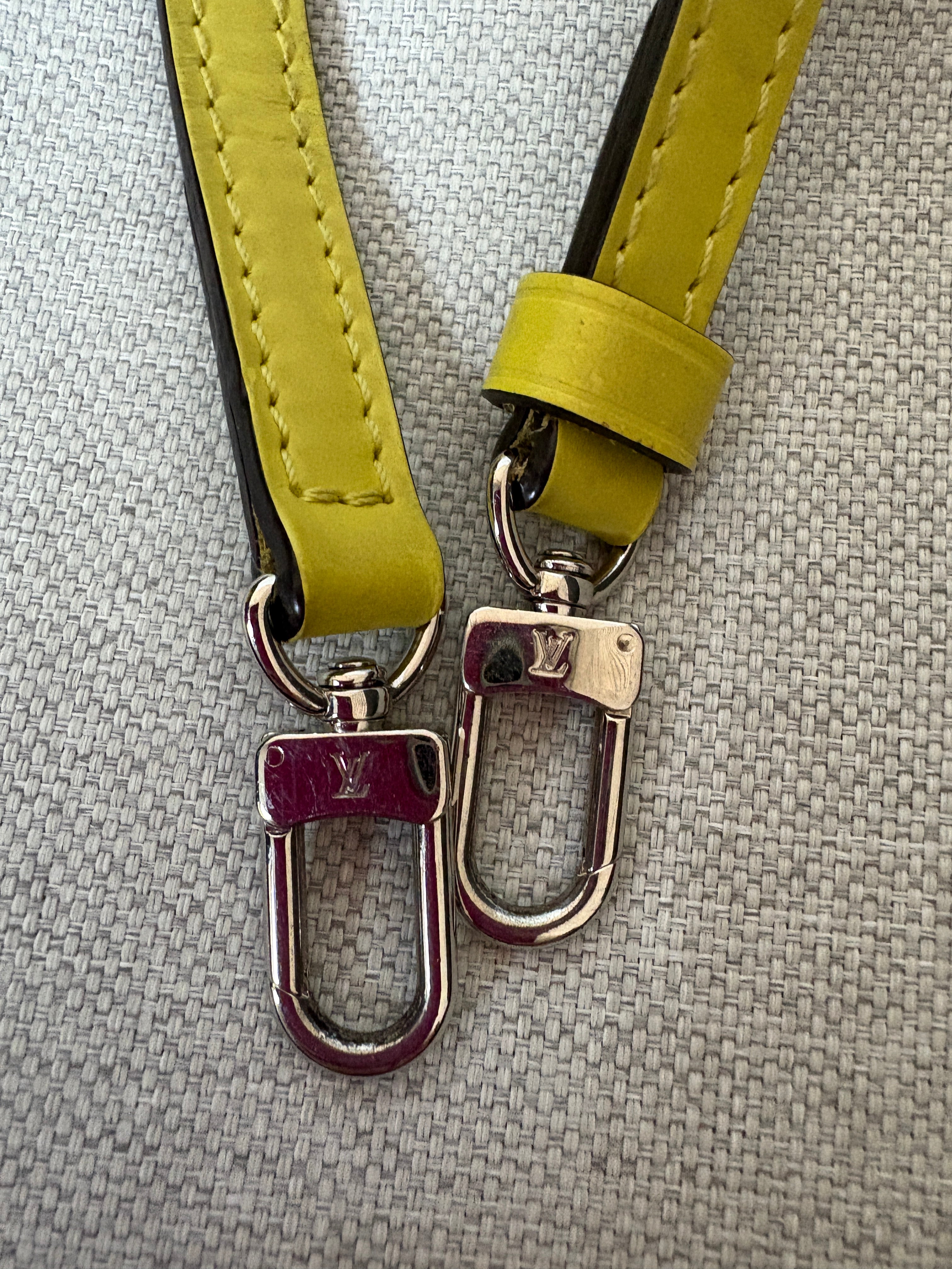 Louis Vuitton monceau