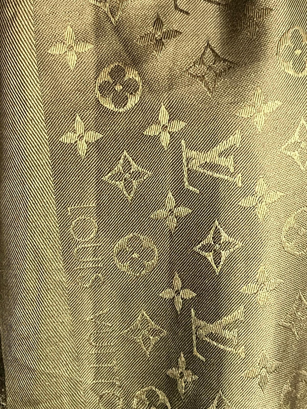 Louis Vuitton scialle