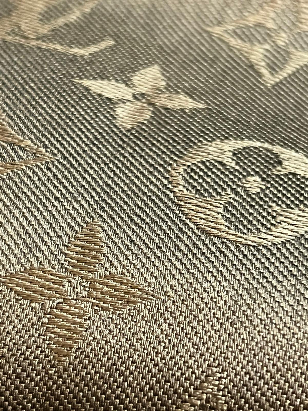 Louis Vuitton scialle