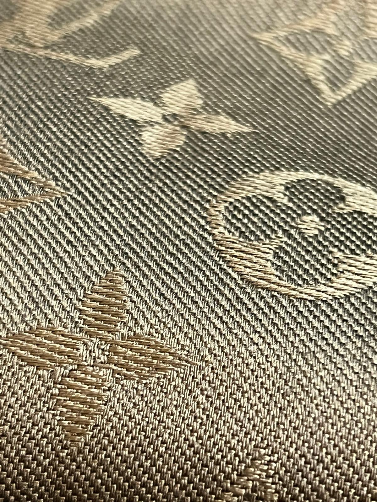 Louis Vuitton scialle