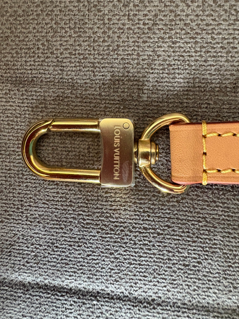 Louis Vuitton diane