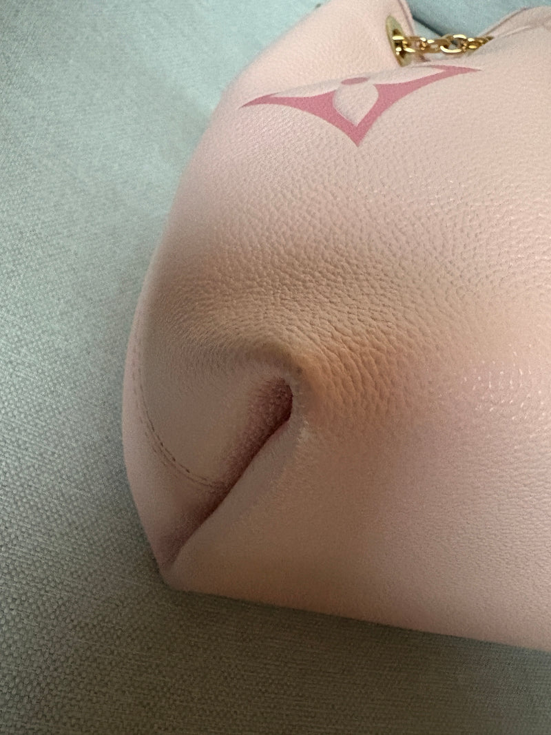 Louis Vuitton buondle