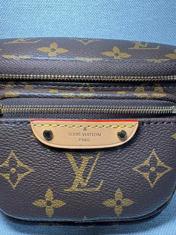 Louis Vuitton bumbag