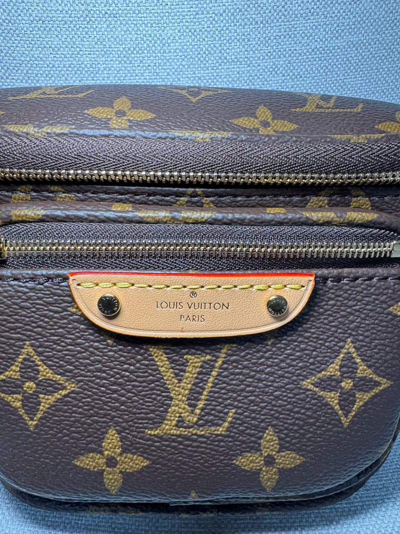 Louis Vuitton bumbag
