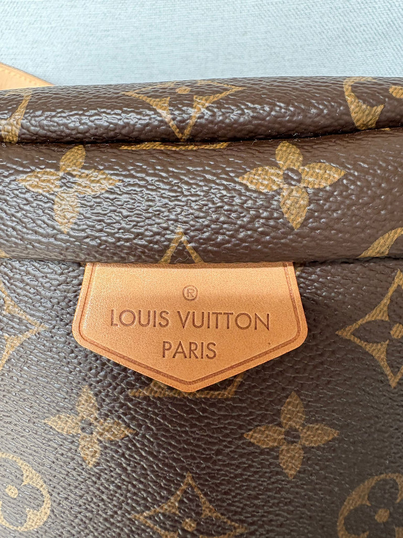 Louis Vuitton Bumbag