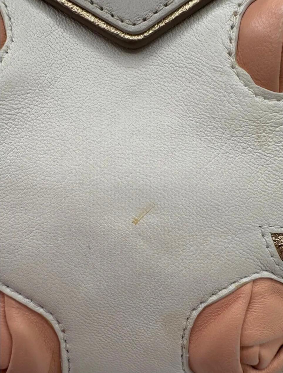 Miu Miu borsa